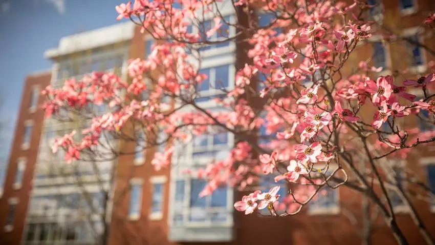 Spring 2022 uc reg