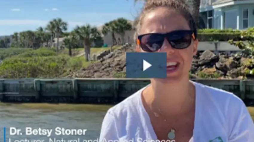 betsy stoner, professor 