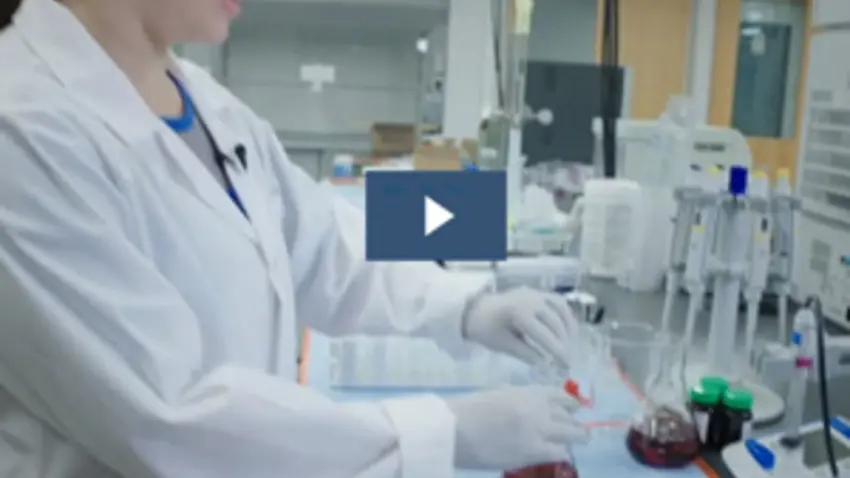 honors program video screenshot