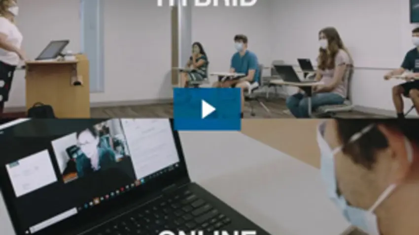 Hybrid online video 