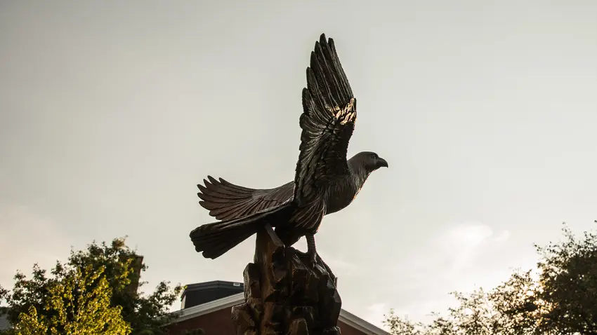 Falcon statue