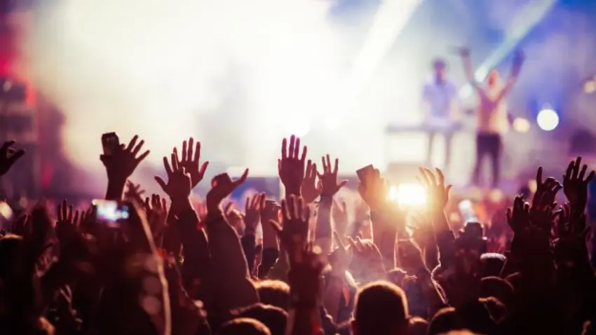 Concert crowd