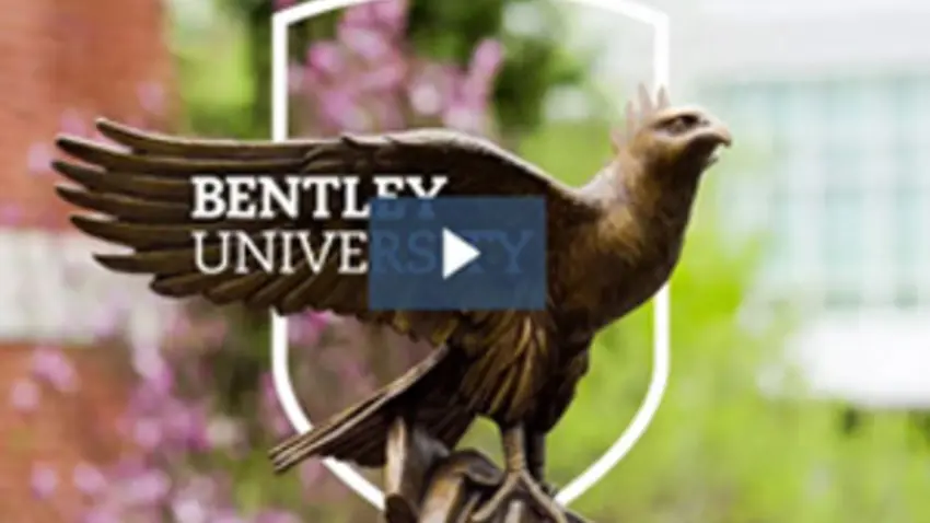 image of falcon statue with play button