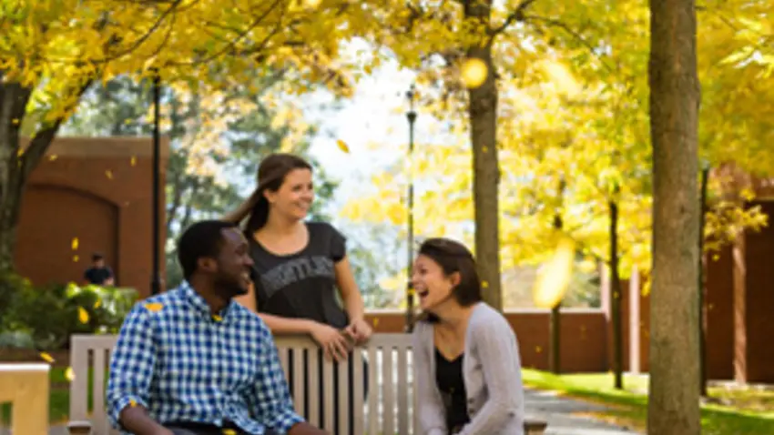 three students sit on a bench near yellow trees in fall 