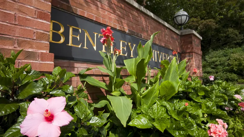 Bentley Sign - Summer