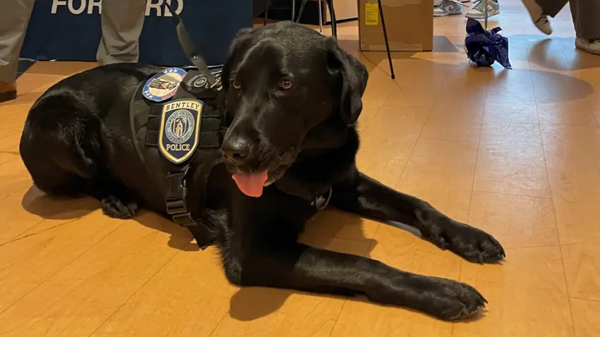 Blue in front of the Falcons Forward Table