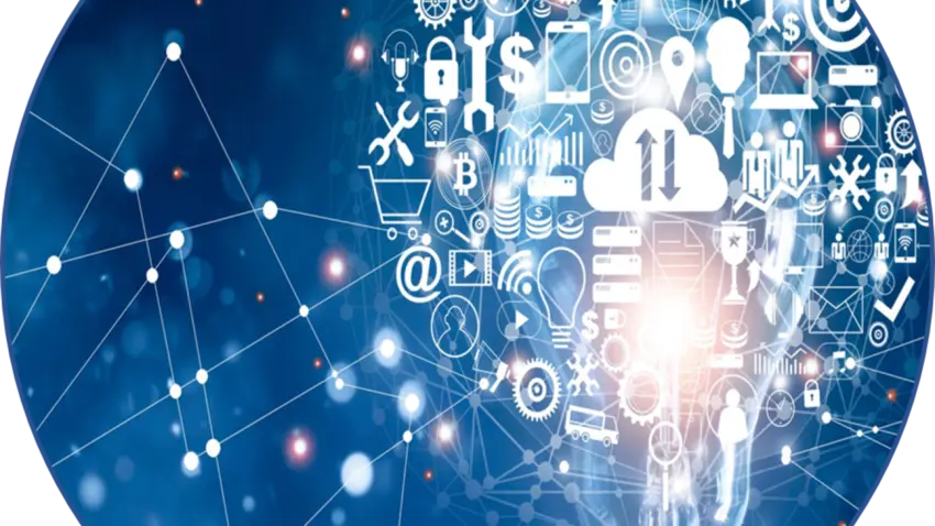 Brightspace Learning Management System