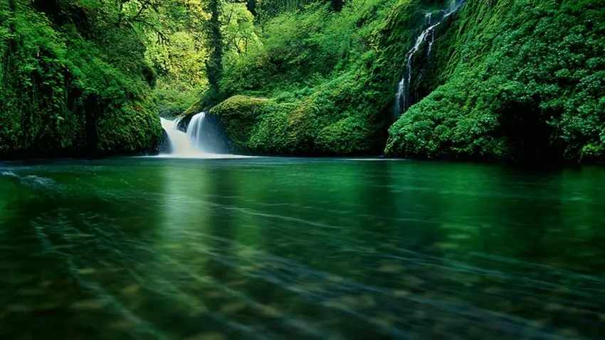Alternative Text - lake with waterfall surrounded by greenery