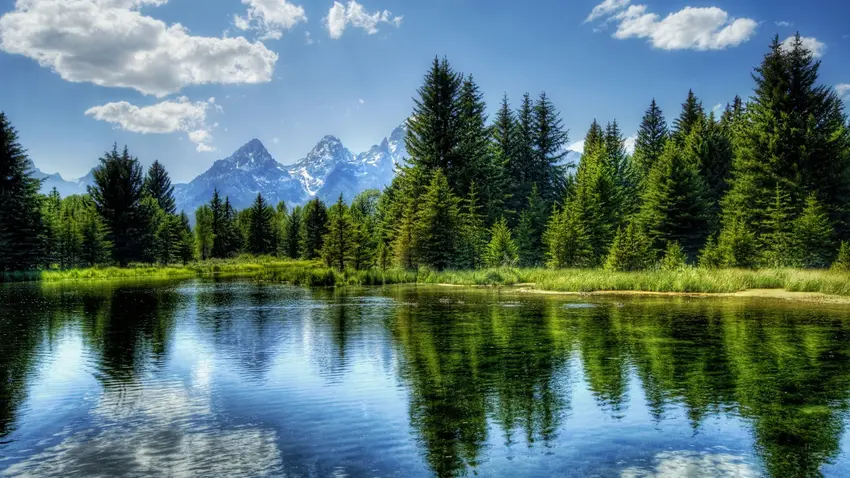 Heading Stripe Alternate Text - lake surrounded by evergreens