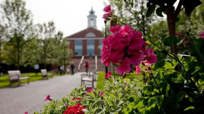 Red Flower on Campus