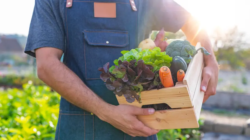 man holding crate of veggies