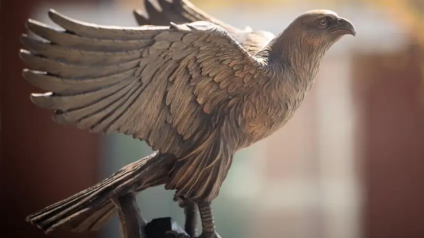 Falcons Forward 2030