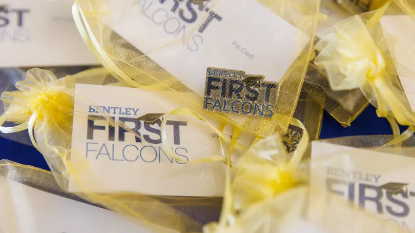 first falcons pin
