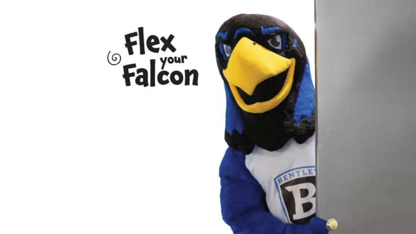 flex the falcon introduces the pop quiz feature