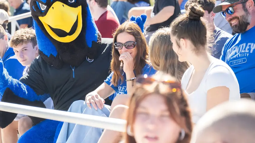 Falcon weekend