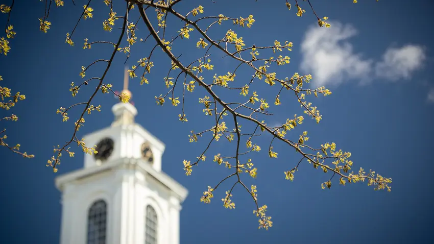 Bentley Library with Flowers