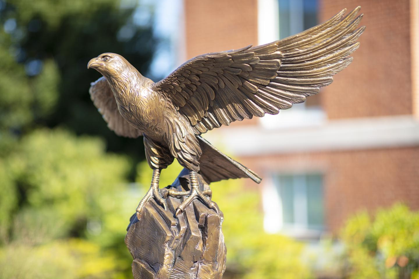This image is of the Falcon statue in front of the Bentley library