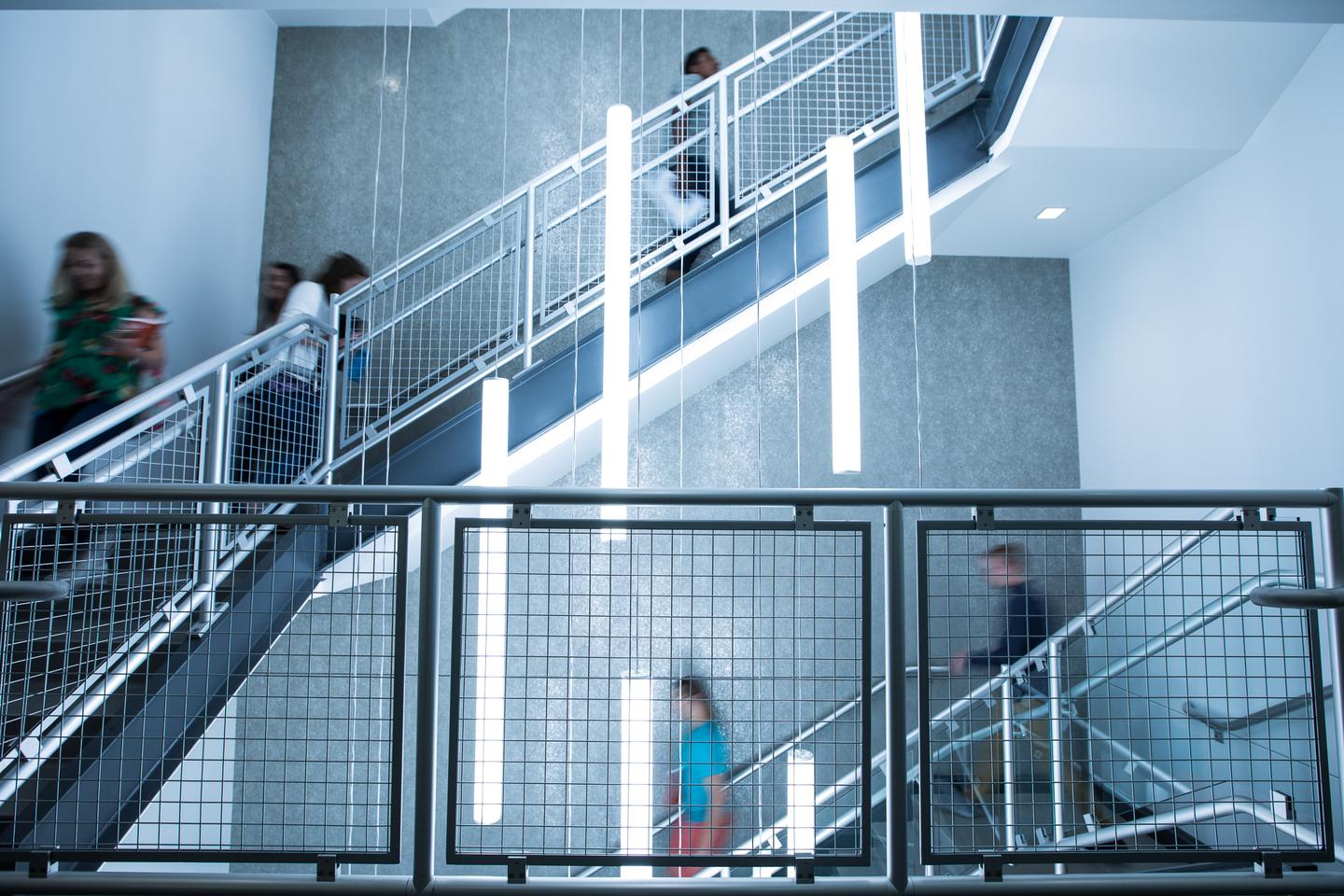 Employees walking in stairwell