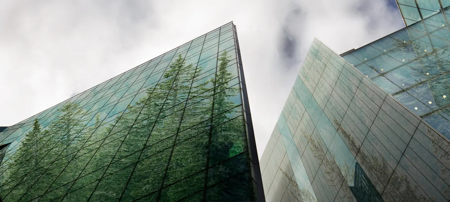 Bentley students are using the power of business to save the environment