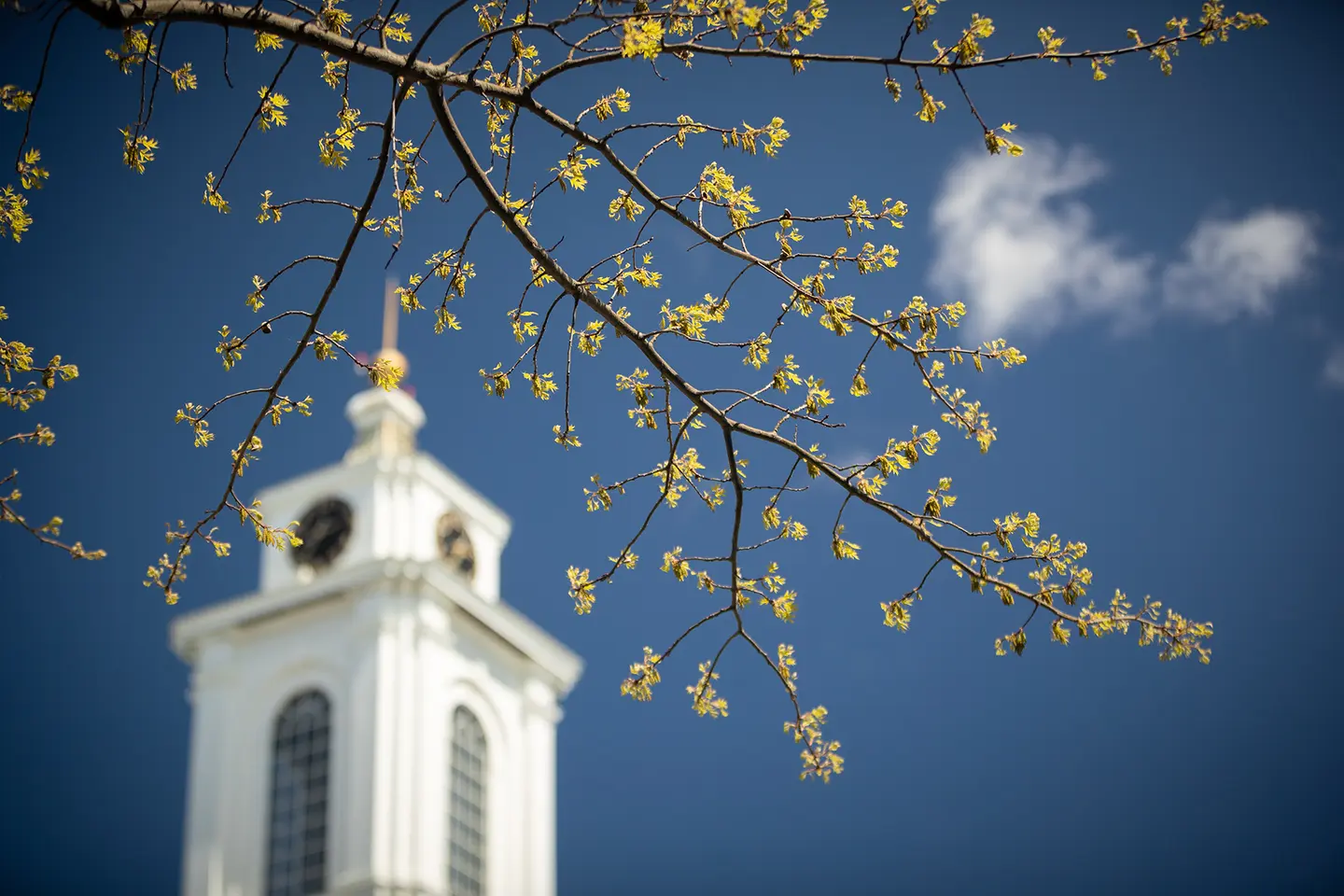 Bentley Library clocktower