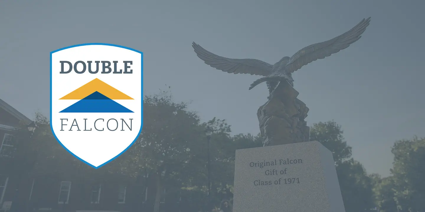 Double Falcon Badge Hero Image	