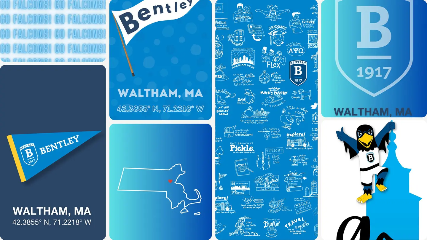 colorful desktop organizer