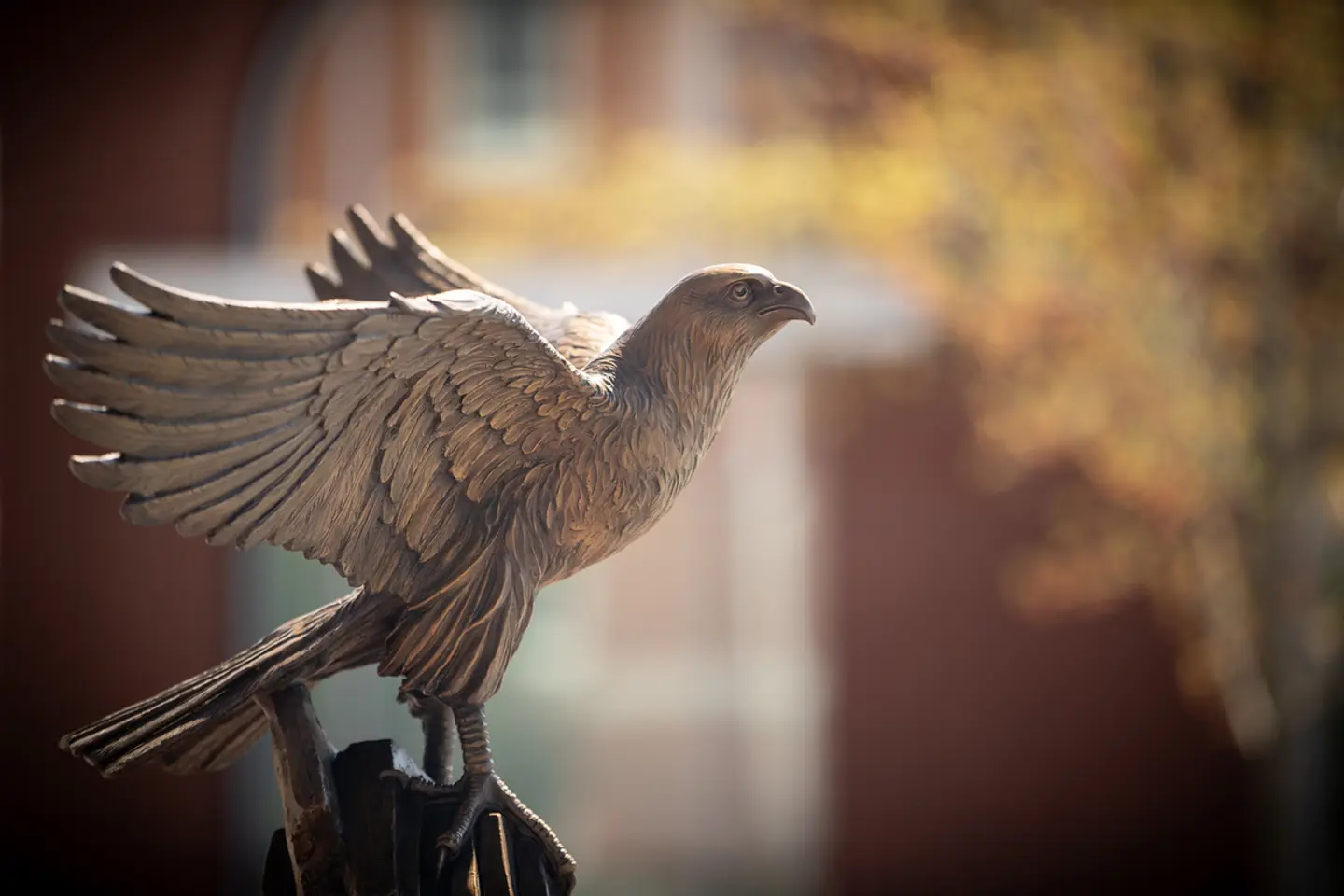 Falcon Statue outside of the Bentley Library
