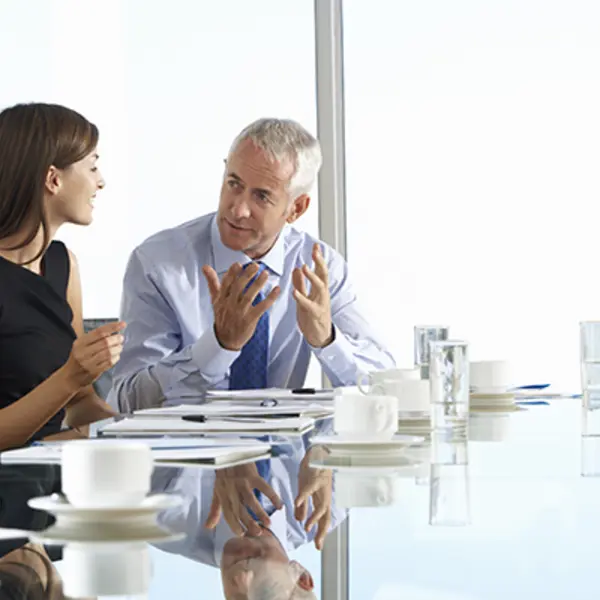 Male mentor having a discussion at conference table with his female mentee
