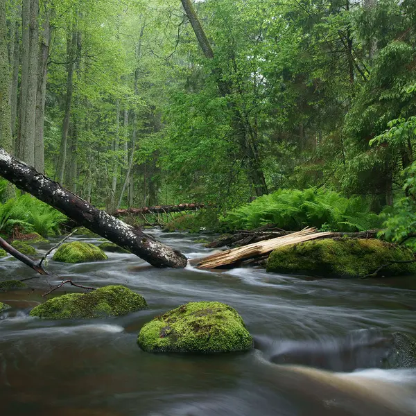 Circle Card Image Alternative Text