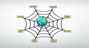 Spider web with globe resting on top. Each strand of the spider web is a different sustainability issue: hunger, poverty, climate action, clean water, renewable energy, gender equality, quality education and good health.